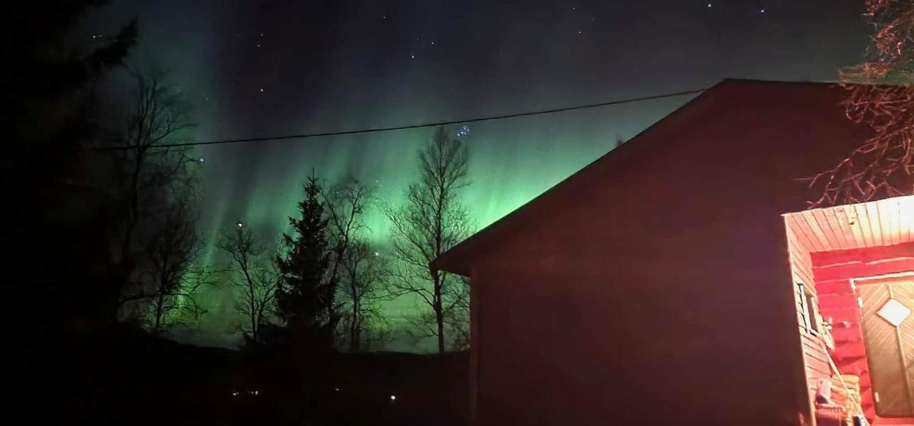 Cosy Cabin In North-Norway, Nearby Senja. Sorreisa Exteriér fotografie