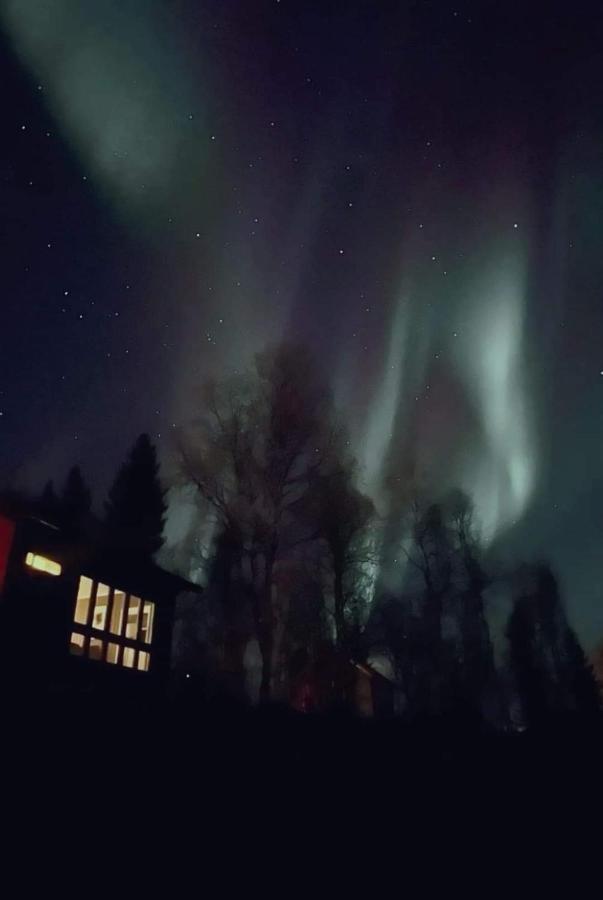 Cosy Cabin In North-Norway, Nearby Senja. Sorreisa Exteriér fotografie